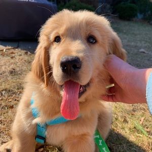 Meet your Posher, Antonella